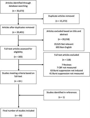 The effect of burst suppression on cerebral blood flow and autoregulation: a scoping review of the human and animal literature